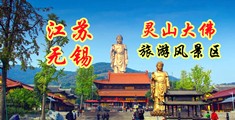 日日骚电影网站江苏无锡灵山大佛旅游风景区